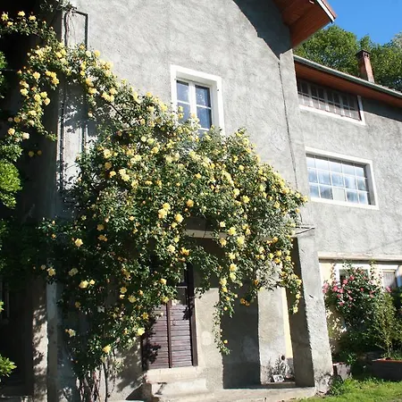 Fattoria Del Pino * 奥尔塔圣朱利奥