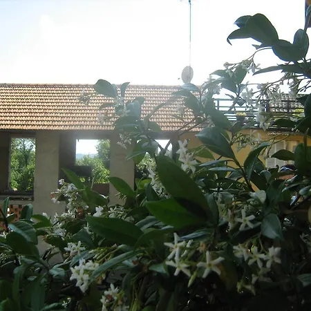 Fattoria Del Pino Orta San Giulio