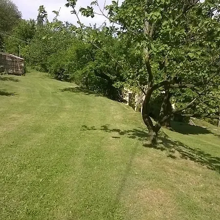Fattoria Del Pino *