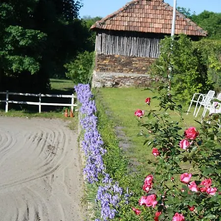 Fattoria Del Pino Bed and breakfast