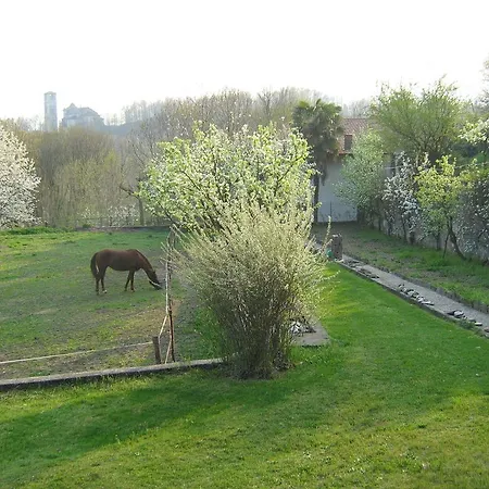 Fattoria Del Pino Panzió *